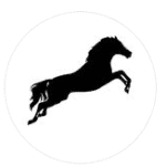 logo of the company stallion lux