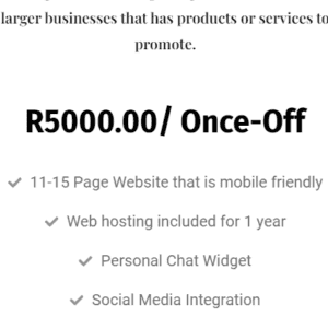 Website Professional Plan