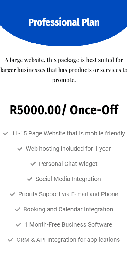 Website Professional Plan